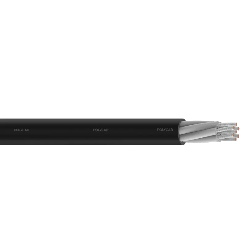 polycab-rr-p-mc-1100v-ac-is-9968-1