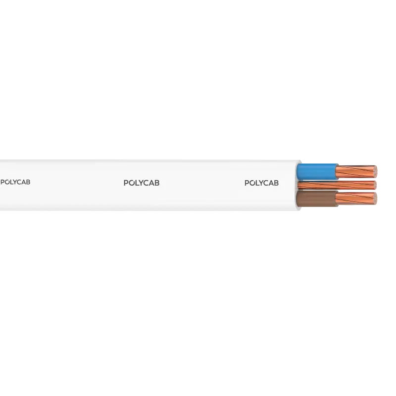 polycab-6241y6242y6243y-bs-6004-mc-300500v-ac
