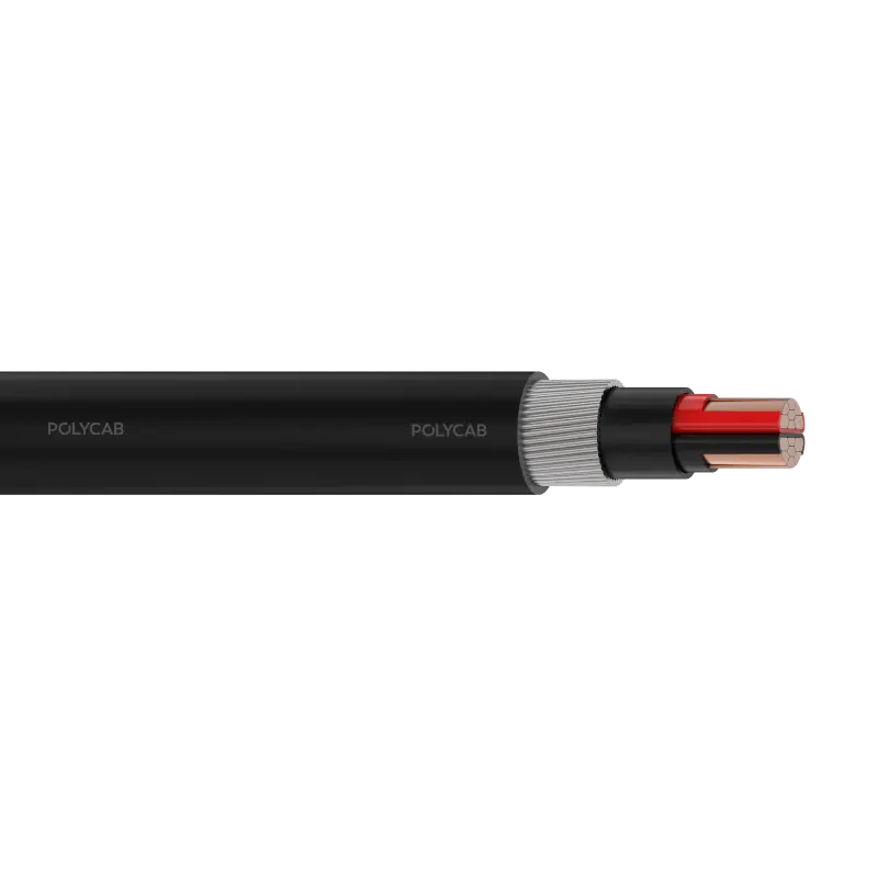 polycab-lv-cu-iec-60502-1-061kv-mc-2-swa